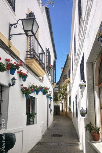 Old town flower narrow street of Cordoba, Spain. Festival of the Patios in Andalusia. Traditional white houses with flower pots
