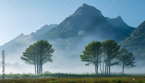 The towering trees look particularly lonely in the mist, behind them are distant mountains and blue sky. photo