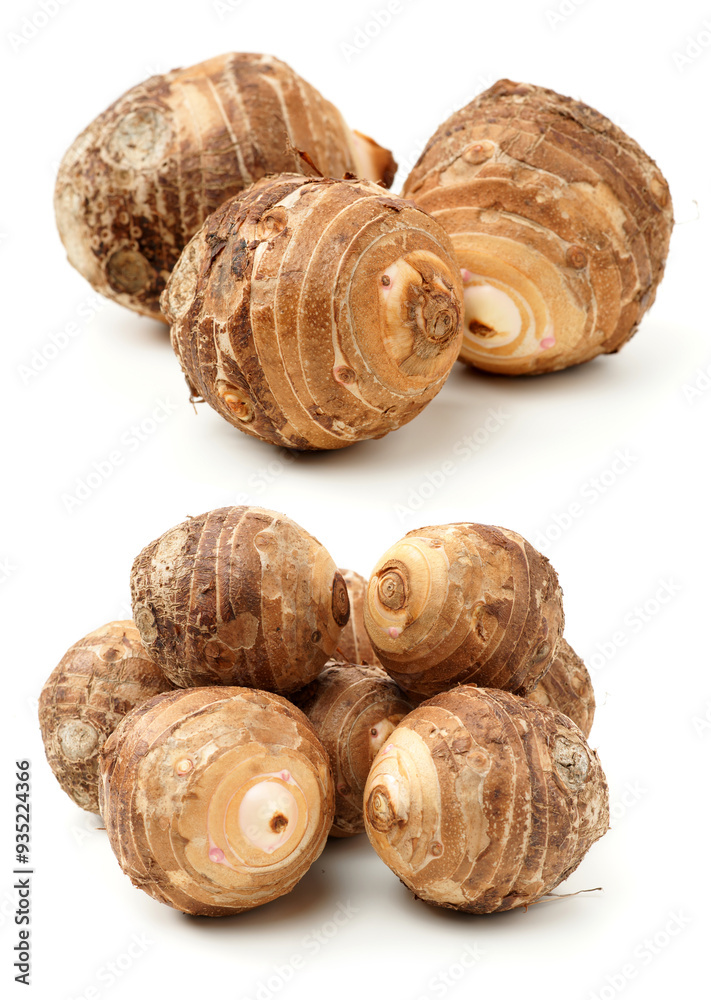 Taro on a white background Taro on a white background
