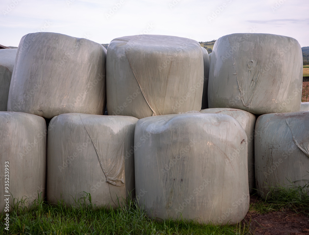 Plastic bales are filled with compressed, undried plants that are used to feed livestock. Such plants can be, for example, meadow clover or sown alfalfa. Plastic bales are filled with compressed, undried plants that are used to feed livestock. Such plants can be, for example, meadow clover or sown alfalfa.