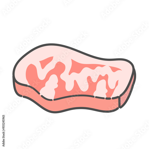 牛肉　生肉　イラスト