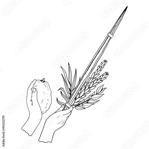 Waving the Lulav line vector illustration in black and white for Jewish Sukkot holiday coloring. Man's hands holding four species of palm leaf, myrtle, willow and Etrog