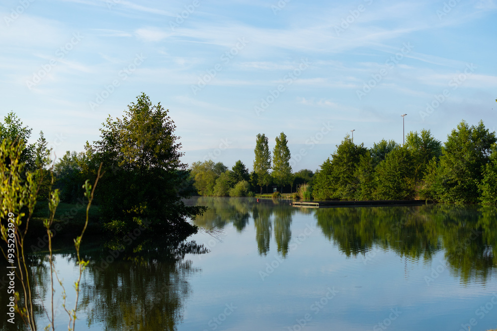 Obraz premium lake and forest