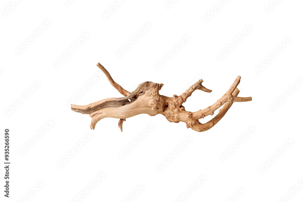 Old dry driftwood tree branch on an isolated white background close-up Old dry driftwood tree branch on an isolated white background close-up