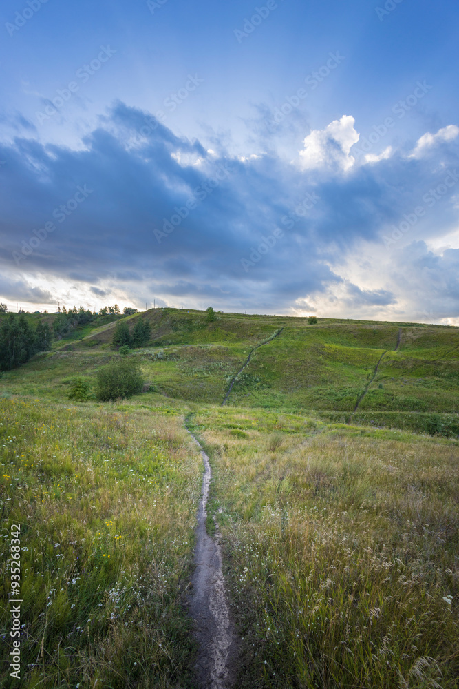 A winding path leads through vibrant grasslands as clouds gather above, capturing the tranquil beauty of nature in the late afternoon light. A winding path leads through vibrant grasslands as clouds gather above, capturing the tranquil beauty of nature in the late afternoon light.