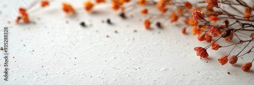 Dried orange flowers arranged on a white textured surface. The minimalistic design and natural colors create a calm, elegant, and organic composition.