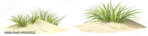 Transparent background with waves of sea oats and beach grass