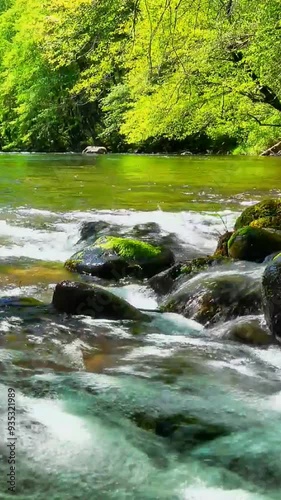 A fast, noisy flowing river in the forest photo