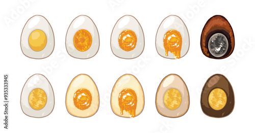 Cross-section illustration of boiled and braised eggs