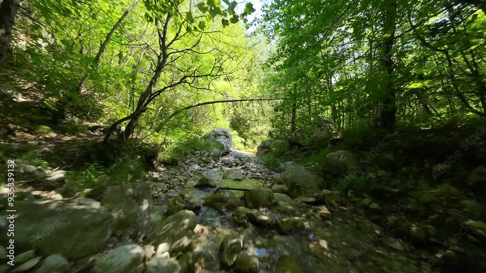 FPV drone cinematic camera moving through forest above small creek with fresh drinking water FPV drone cinematic camera moving through forest above small creek with fresh drinking water