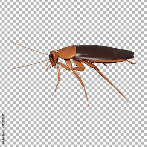 Insect 3D