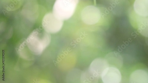 Subtle Green and White Bokeh Effect with Sunrise photo