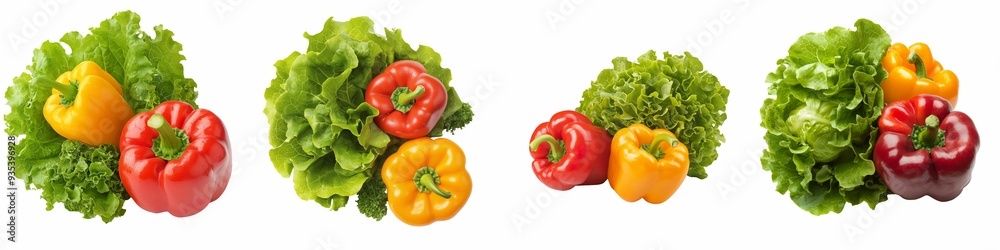 Top view of fresh green lettuce heads paired with vibrant red, yellow, and orange bell peppers, all neatly arranged side by side on a transparent background. Top view of fresh green lettuce heads paired with vibrant red, yellow, and orange bell peppers, all neatly arranged side by side on a transparent background.