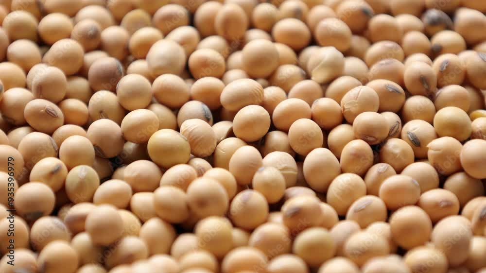 Soybean beans background 