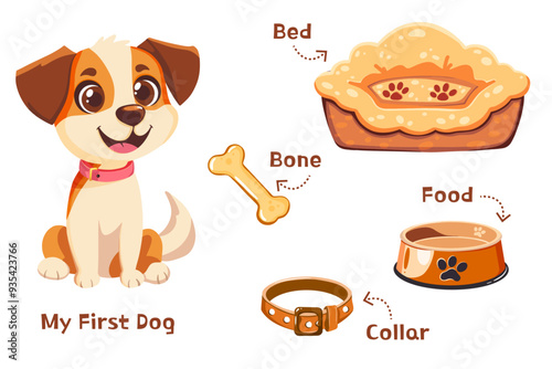 Vector children's infographic. Cartoon style dog with bone, food plate, dog bed and collar. 