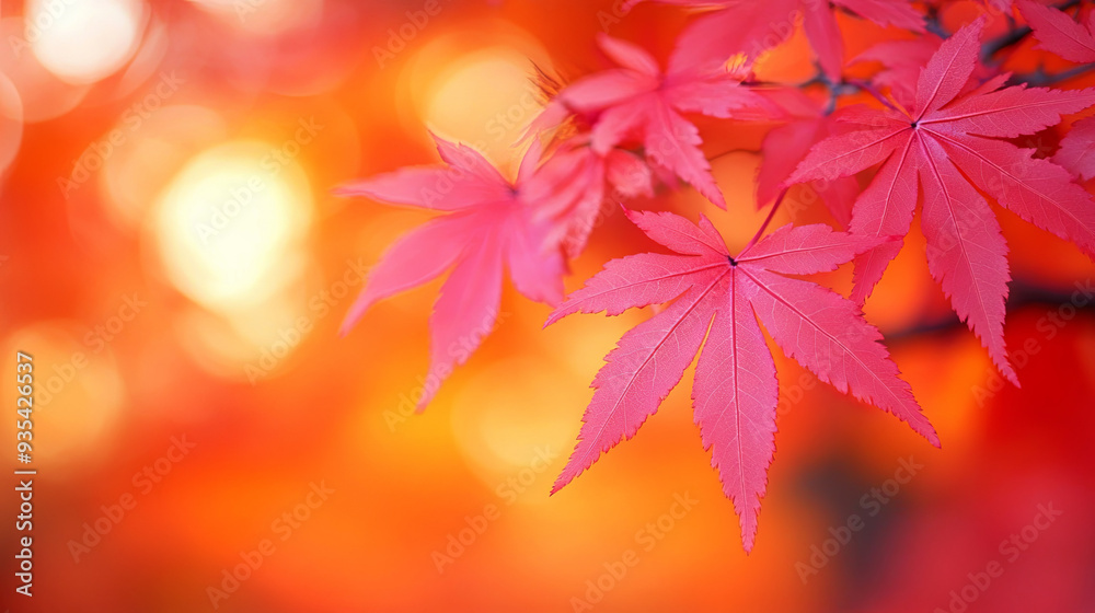 Vibrant red maple leaves against a blurred orange background during autumn in a serene natural setting Vibrant red maple leaves against a blurred orange background during autumn in a serene natural setting