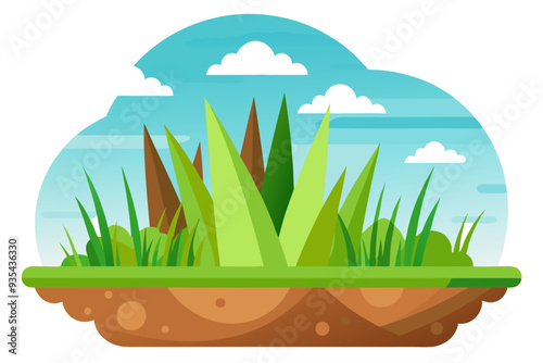 Green Grass Patch with Brown Soil and Blue Sky