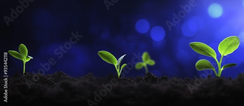 Animated stock photo of a growing plant against a blurry blue backdrop.