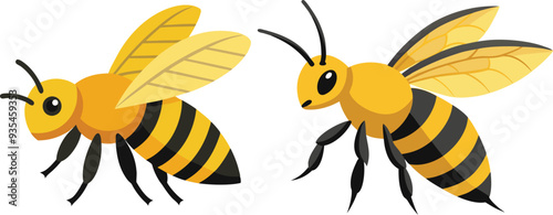 Bee, side view with white background 