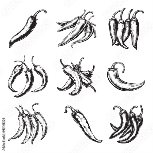 Set of chili peppers vector illustrations - hand drawn chili peppers - black and white chili peppers isolated on white background