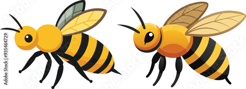 Bee, side view with white background 