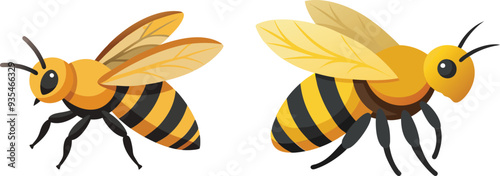 Bee, side view with white background 