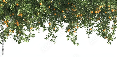 In this illustration, 3D ivy plants are illustrated over a transparent background