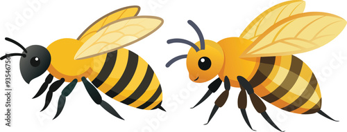 Bee, side view with white background 