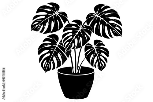 Monstera deliciosa plant in pot silhouette vector, potted plant vector silhouette vector

