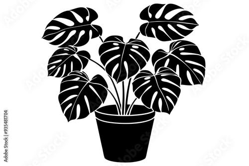 Monstera deliciosa plant in pot silhouette vector, potted plant vector silhouette vector

