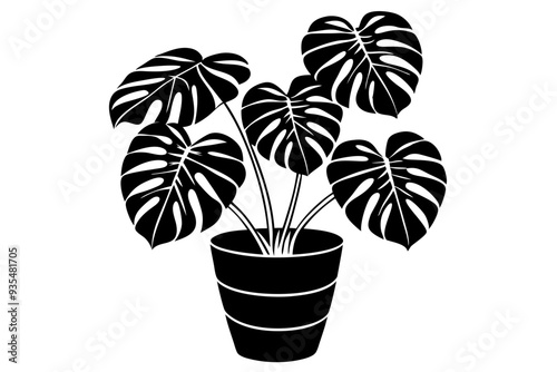 Monstera deliciosa plant in pot silhouette vector, potted plant vector silhouette vector

