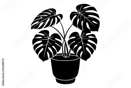 Monstera deliciosa plant in pot silhouette vector, potted plant vector silhouette vector

