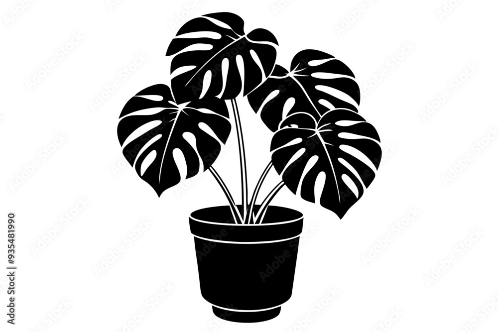 Obraz premium Silhouette of a monstera deliciosa plant in a pot