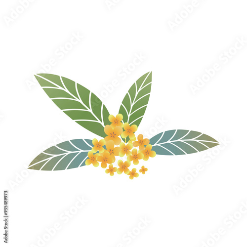 Osmanthus branches illustration decorated mid-autumn festival