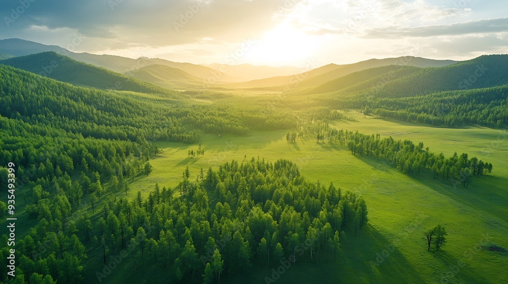 Naklejka premium Aerial top view green forest and green trees in rural Altai Drone photo : Generative AI