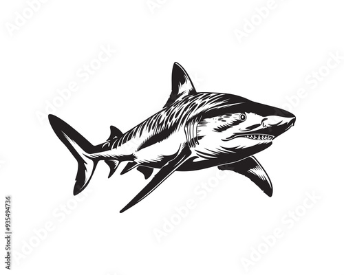 Tiger shark vector design isolated on white background - black and white illustration tiger shark