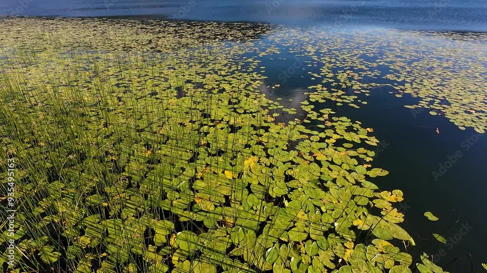 Abant Lake and the surrounding forest area Abant Lake and the surrounding forest area