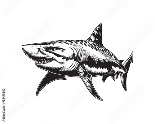 Tiger shark vector design isolated on white background - black and white illustration tiger shark