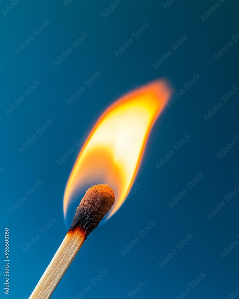 A burning matchstick in close-up, with the flame just igniting the tip. A burning matchstick in close-up, with the flame just igniting the tip.