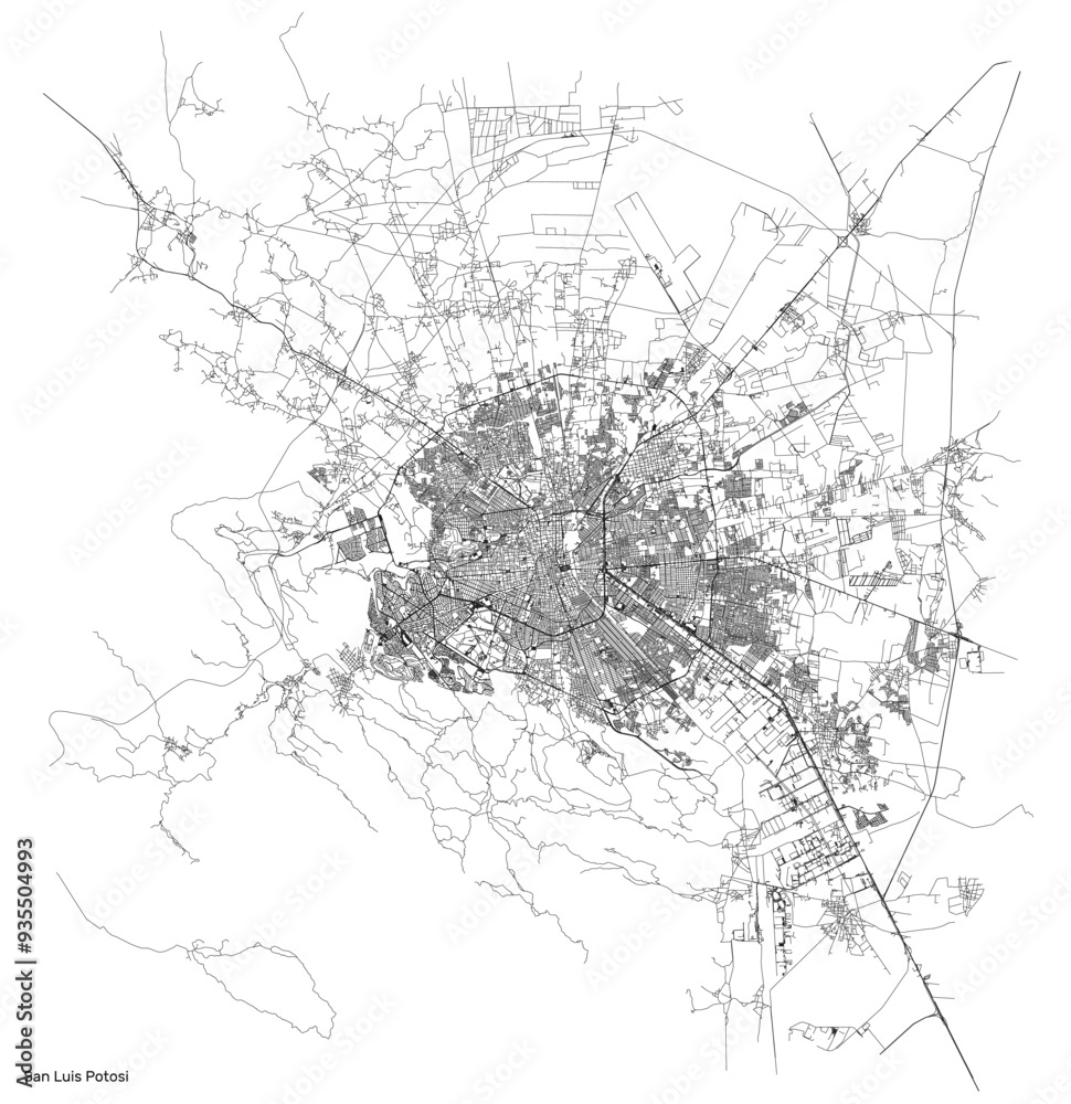 Fototapeta premium San Luis Potosi city map with roads and streets, Mexico. Vector outline illustration.