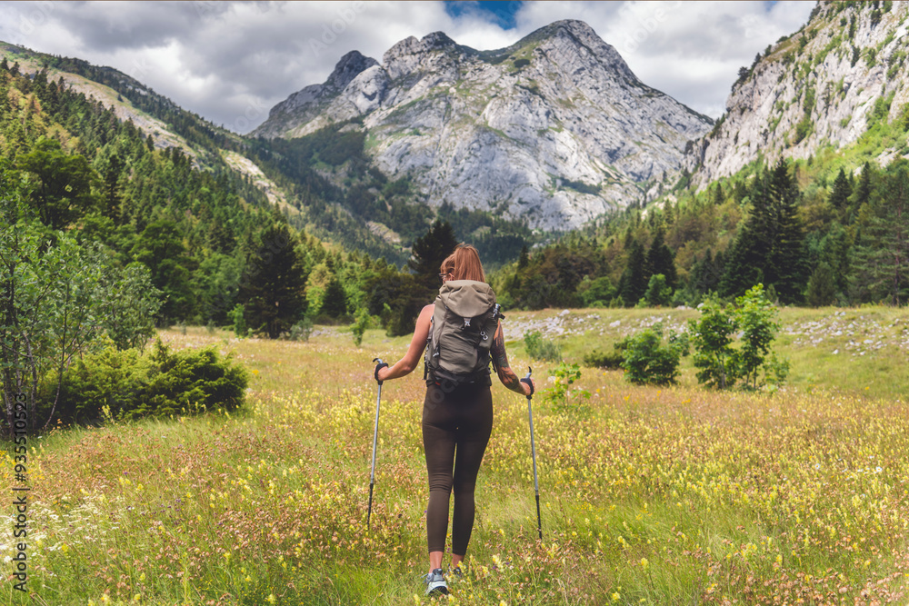 Woman Hiking in Blooming Alpine Mountain Valley