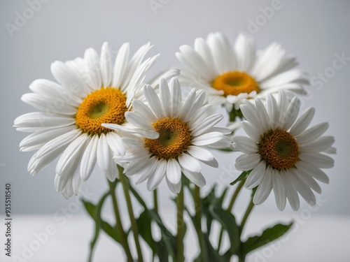 Portrait of a bouquet of white daisies elegantly arranged against a soft neutral background