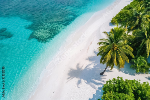 Overhead view of a tropical island beach with crystal clear water, soft white sand, and lush palm trees, creating a serene and inviting paradise perfect for relaxation and escape.