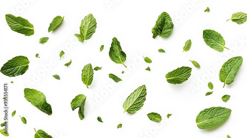 A scattering of fresh mint leaves on a white background.