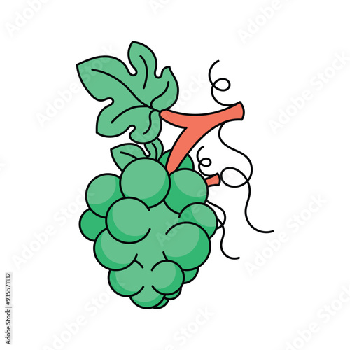 Bunch of sweet berries, icon of grapes, natural antioxidant fruit