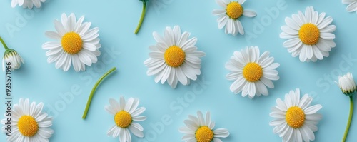 Daisies on Blue Background - Floral Pattern, Spring Flowers, Daisy, White Flowers, Blue