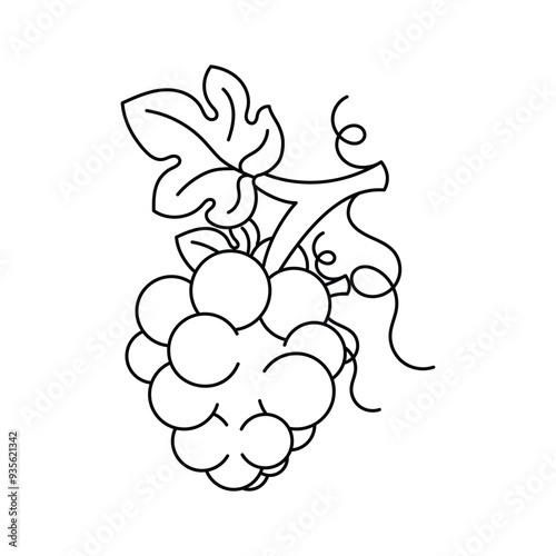 Bunch of sweet berries, icon of grapes, natural antioxidant fruit