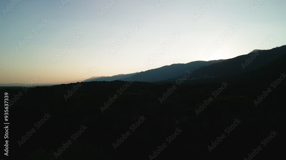 Night Falling Over A Forest After Sunset Night Falling Over A Forest After Sunset