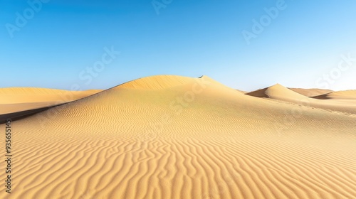 Golden sand dunes under a clear blue sky, creating a stunning contrast in the desert landscape