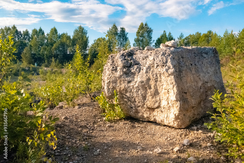 In a vast field, a large, singular rock is situated, surrounded by trees